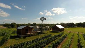 Arrowhead - Texas Wine Country - Road Trippin'
